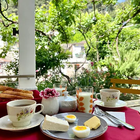 Guest house Nika's 3*