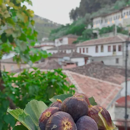 Vendégház Nika's Berat